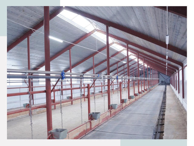 Строительство коровников в таре от 617 руб.