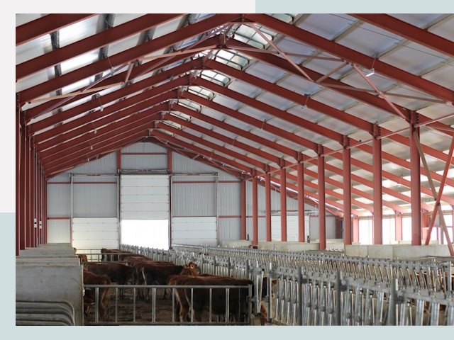 Строительство коровников в таре