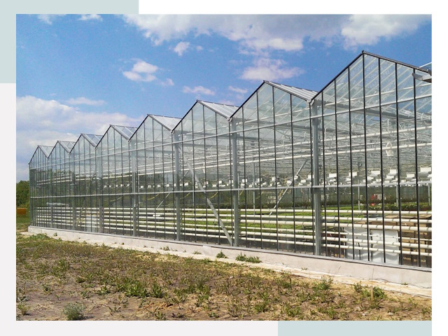 Строительство теплиц в Тара от 617 руб. за м²