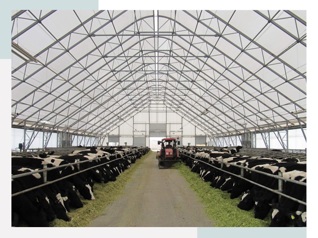 Тентовые коровники в таре от 617 руб. - Надежно и доступно